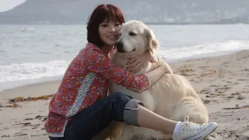 Задник до фільму "犬と私の10の約束" #1910265