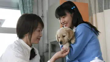 Задник до фільму "犬と私の10の約束" #1910266