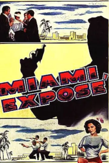 Miami Exposé постер