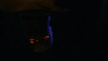 Задник до фильму"Prom Night" #705068
