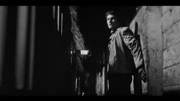 Задник до фильму"While the City Sleeps" #458162