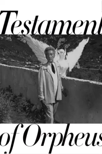 Постер до фильму"Le Testament d