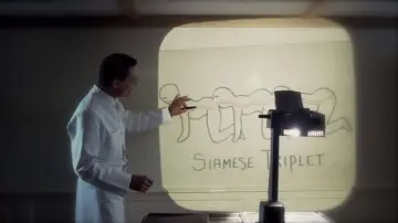 Задник до фільму "The Human Centipede (First Sequence)" #1630426