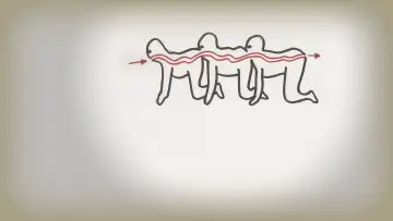 Задник до фильму"The Human Centipede (First Sequence)" #323871
