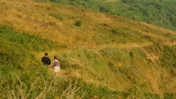 Задник до фильму"Літня казка" #385993