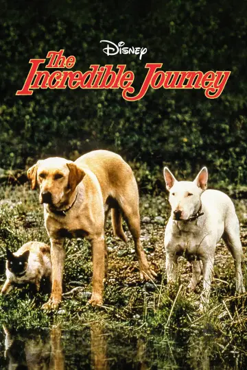 Постер до фільму "The Incredible Journey" #1099483