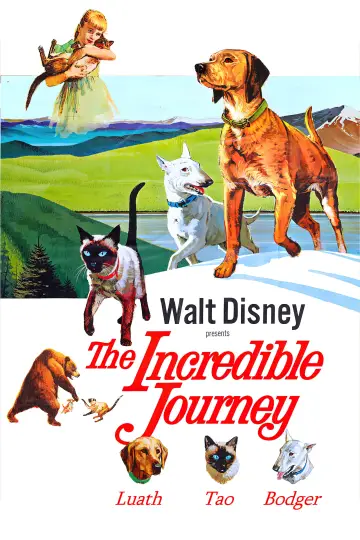 Постер до фільму "The Incredible Journey" #1099484