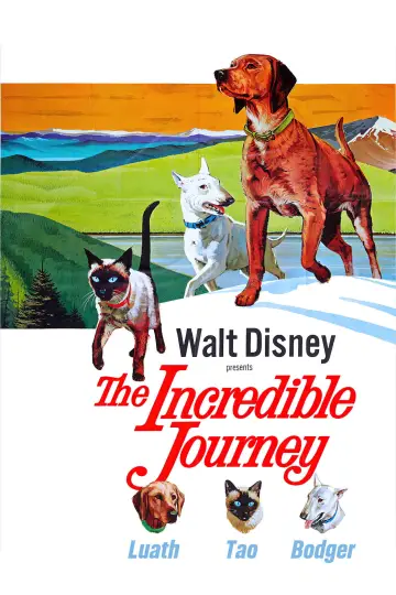 Постер до фільму "The Incredible Journey" #1099485