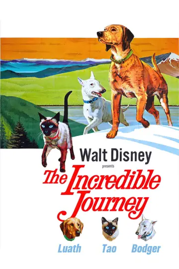 Постер до фільму "The Incredible Journey" #1099486