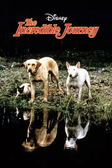 Постер до фільму "The Incredible Journey" #1099487