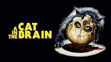 Задник до фильму"Un gatto nel cervello" #938553
