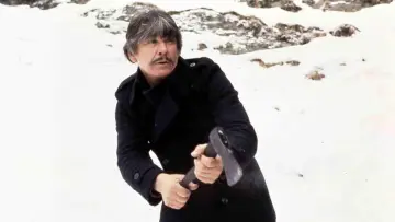 Задник до фильму"Love and Bullets" #1073073