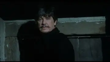 Задник до фильму"Love and Bullets" #440653
