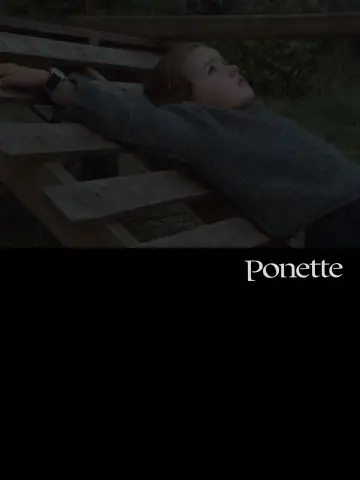 Постер до фильму"Ponette" #662748