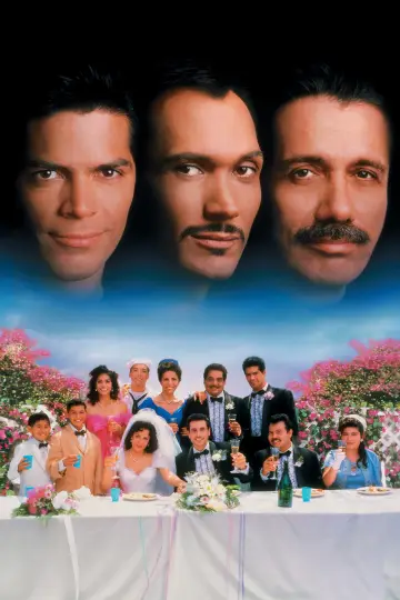 Постер до фильму"My Family" #741659