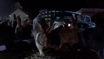 Задник до фильму"Night of the Lepus" #1083388