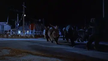 Задник до фильму"Night of the Lepus" #439165