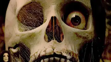 Задник до фильму"Tales from the Crypt" #362885