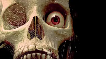 Задник до фильму"Tales from the Crypt" #362893