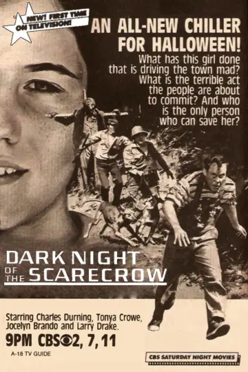 Постер до фільму "Dark Night of the Scarecrow" #1065985