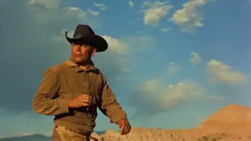 Cowboy