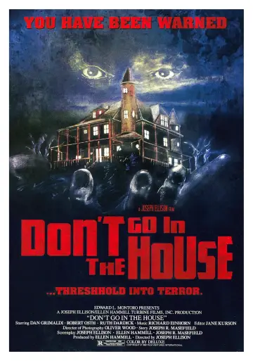 Постер до фильму"Don