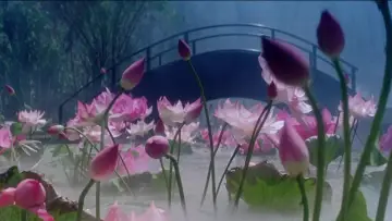Задник до фильму"青蛇" #903052