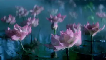 Задник до фильму"青蛇" #903106