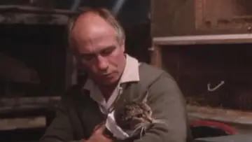 Задник до фільму "Mr. Love" #1921114