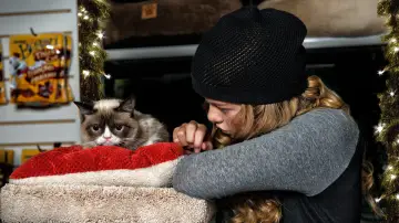Задник до фильму"Grumpy Cat