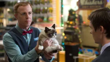 Задник до фильму"Grumpy Cat