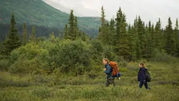 Задник до фильму"Wildlike" #468126