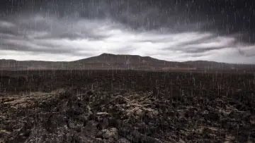 Задник до фільму "Mass Extinction: Life at the Brink" #1624630