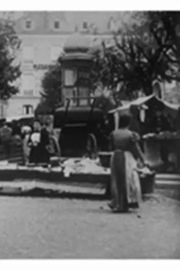 Pau : la place du marché постер