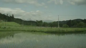 Задник до фильму"リトル・フォレスト 冬・春" #1149319
