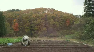 Задник до фильму"リトル・フォレスト 冬・春" #1149323