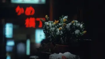Задник до фільму "冬の華" #1619979