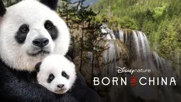 Задник до фильму"Born in China" #1080170