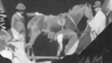 Задник до фильму"Horse Shoeing" #968368