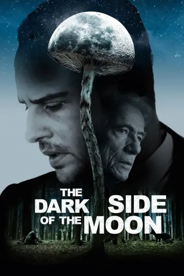 Die dunkle Seite des Mondes постер