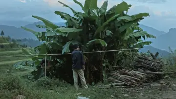 Задник до фильму"路边野餐" #478334