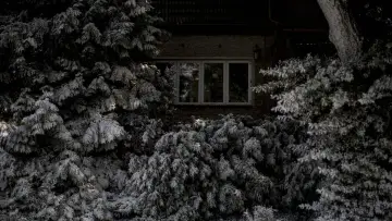 Задник до фильму"Берлінський синдром" #1002611