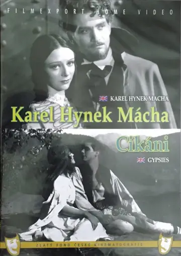 Cikáni постер