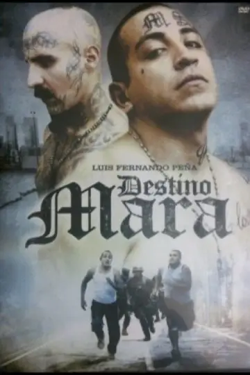 Постер до фільму "Destino Mara" #1918283