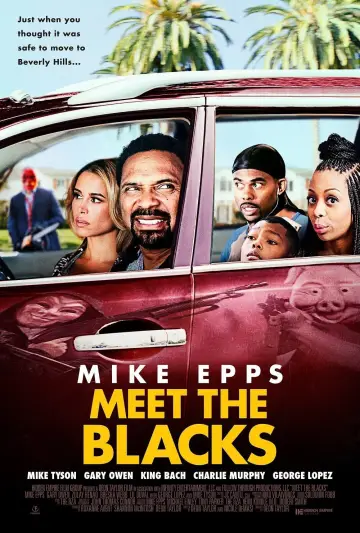 Постер до фильму"Meet the Blacks" #344199