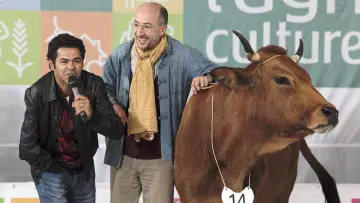 Задник до фильму"La Vache" #264401