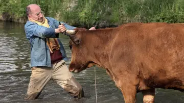 Задник до фильму"La Vache" #264404