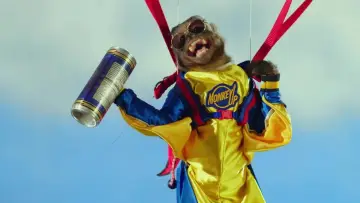 Задник до фільму "Monkey Up" #722601