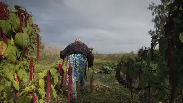 Задник до фільму "Neredzamā pilsēta" #1271197