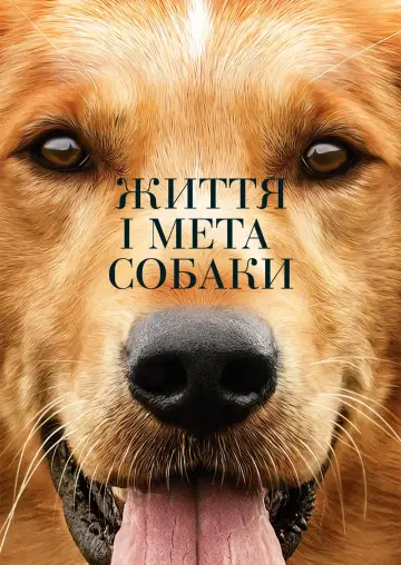 Постер до фильму"Життя і мета собаки" #41274